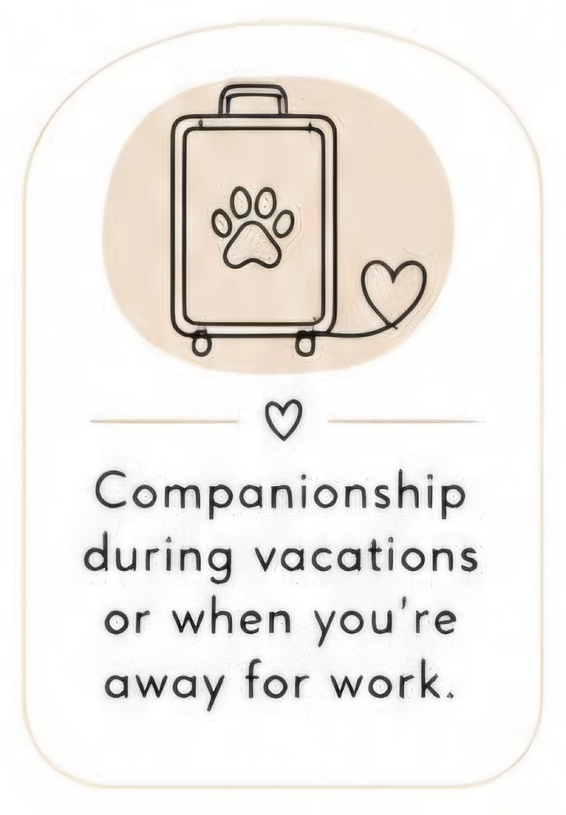 Vacation and Away-From-Home Companionship (Agreement)