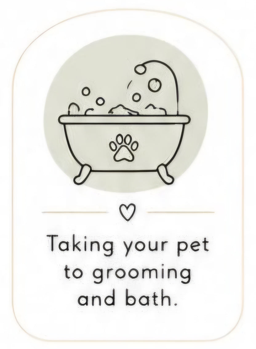 Grooming and Bath Appointments
