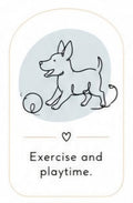 Exercise and Recreation Time