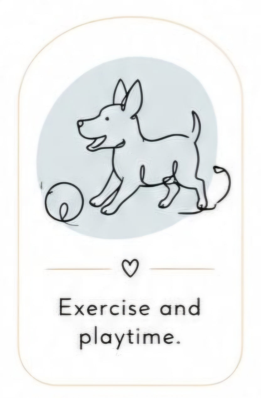 Exercise and Recreation Time