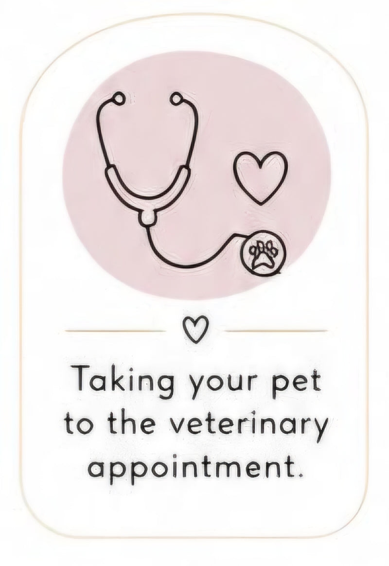 Veterinary Visit Assistance